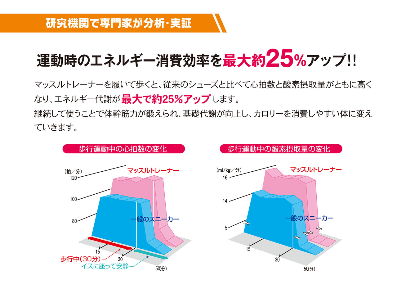 mt-original04 マッスルトレーナーの運動効果