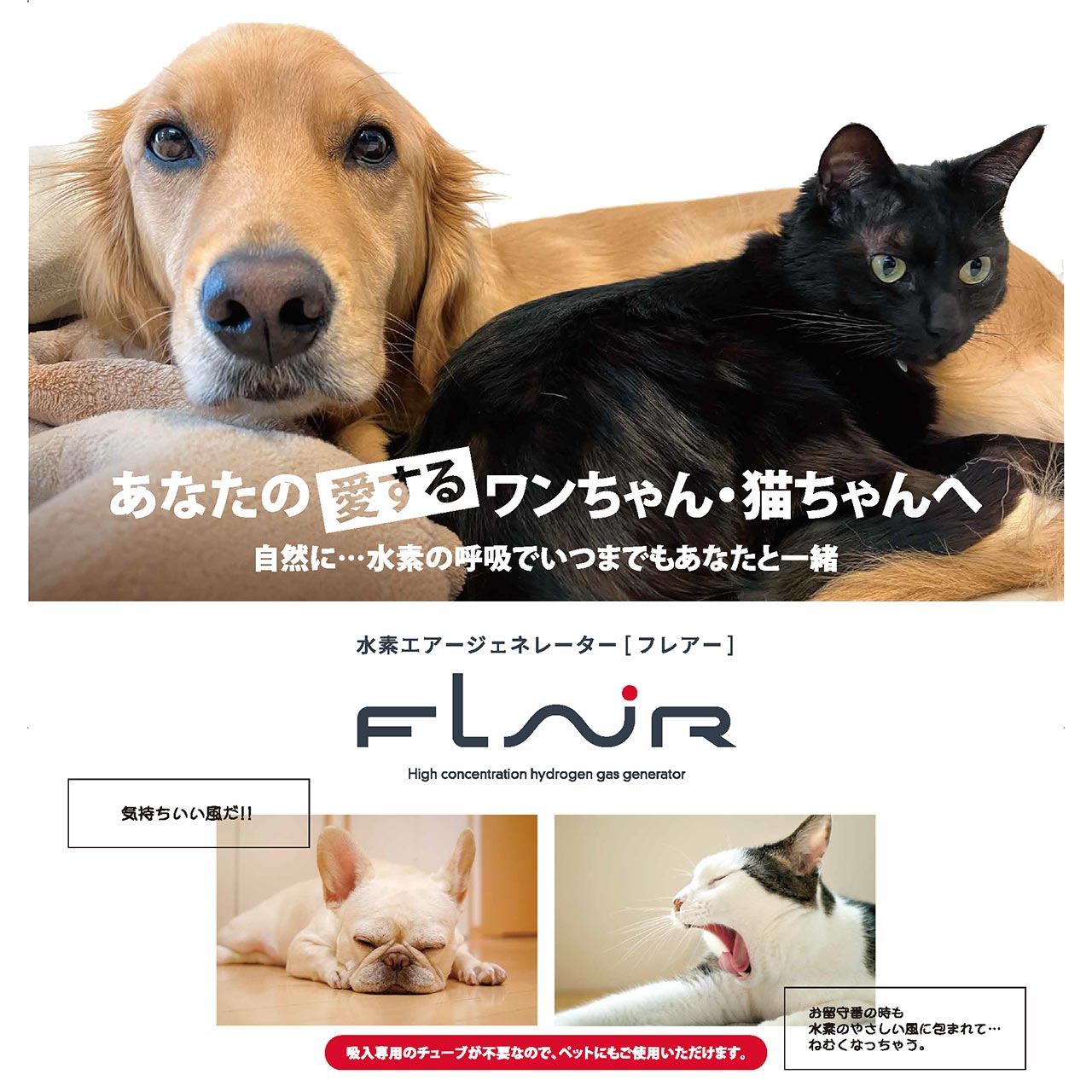 愛するペットにも水素を