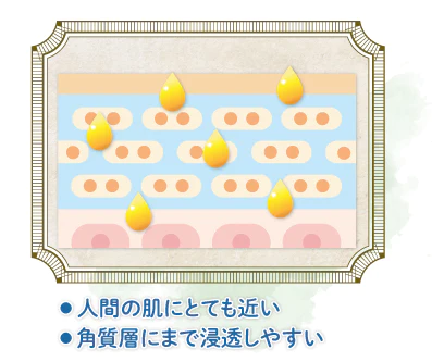 シルクプロテインは人間のお肌のたんぱく質にそっくり