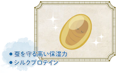 蚕を守るシルクプロテインの保湿力