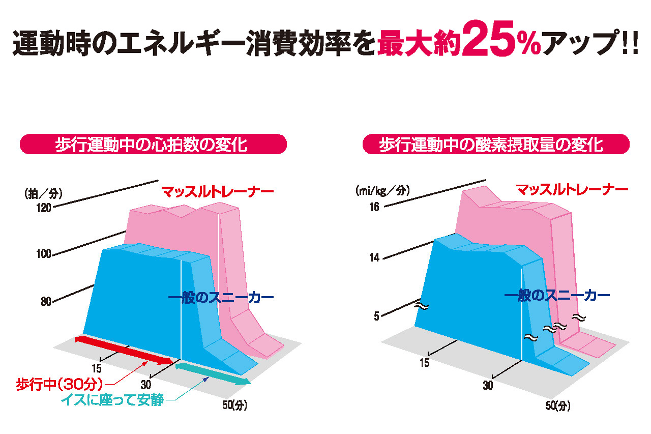 マッスルトレーナーの運動効果測定